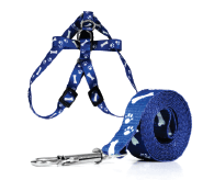 Imagem importada da planilha